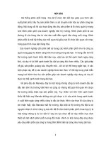 HOẠT ĐỘNG KINH DOANH VÀ TÌNH HÌNH THỊ TRƯỜNG CỦA DẦU ĂN MARVELA TẠI HÀ NỘI