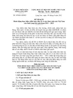 Công ty bảo hiểm Chartis Việt Nam