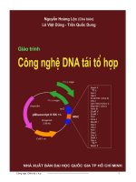 Cong nghe DNA tai to hop