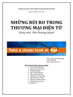 Word_Risks in E-commece