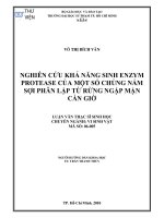 NGHIÊN CỨU KHẢ NĂNG SINH ENZYM PROTEASE CỦA MỘT SỐ CHỦNG NẤM SỢI PHÂN LẬP TỪ RỪNG NGẬP MẶN CẦN GIỜ