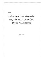 PHÂN TÍCH TÌNH HÌNH TIÊU THỤ SẢN PHẨM CỦA CÔNG  TY CỔ PHẦN BIBICA