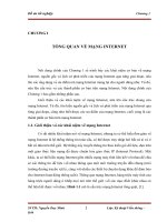 IP va Ungdung trong internet