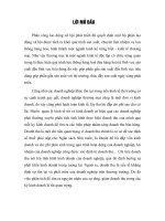 6 Hoàn thiện kế toán bán hàng và xác định kết quả bỏn hàng tại Công ty TNHH Minh Trường Sinh