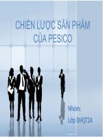 Chiến lược sản phẩm của PEPSICO