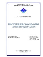 Phân tích tình hình cho vay hộ gia đình tại NHNN và PTNT quận Cái Răng