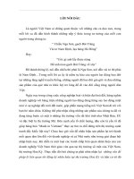 Đăng ký nhãn hiệu tại thị trường nước ngoài (Hoa Kỳ) và những vấn đề đặt ra đối với doanh nghiệp xuất nhập khẩu của Việt Nam