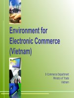 Environment for Electronic Commerce