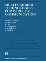Multi-Carrier Technologies for Wireless Communication