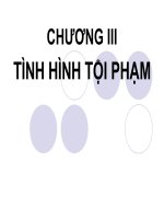 Tình hình tội phạm