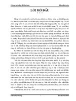 202 Kiểm toán nội bộ và sự phối hợp giữa kiểm toán viên nội bộ với kiểm toán viên bên ngoài