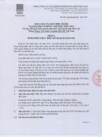 Báo cáo của ban điều hành tại đại hội cổ đông thường niên 2012