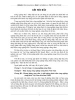 phát triển công nghiệp nông thôn Việt Nam đến năm 2010