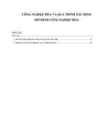 CÔNG NGHIỆP HÓA VÀ QUÁ TRÌNH XÁC ĐỊNH MÔ HÌNH CÔNG NGHIỆP HÓA