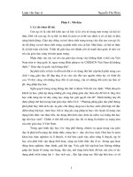 Nâng cao năng lực nhận thức và tư duy cho học sinh qua hệ thống bài tập có sử dụng đồ thị, sơ đồ, hình vẽ phần phi kim hóa học