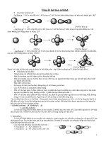 Thuyết lai hóa orbital