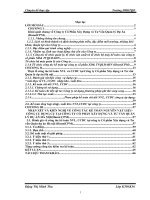 170 Hoàn thiện kế toán nguyên vật liệu, công cụ dụng cụ, tại Công ty Cổ phần Xây dựng và Tư vấn quản lý dự án Hà Nội