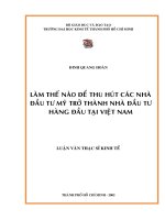 398 Làm thế nào để thu hút các nhà đầu tư Mỹ trở thành nhà đầu tư hàng đầu tại Việt Nam