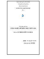 Cá trich sốt cà chua