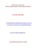 271 Giải pháp hạn chế rủi ro tín dụng tại các ngân hàng thương mại tỉnh Bình Phước