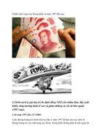 Chính sách tỉ giá  từ 1997 đến nayx