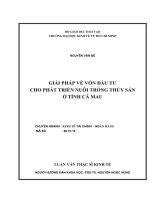 337 Giải pháp về vốn đầu tư cho phát triển nuôi trồng thủy sản ở tỉnh Cà Mau