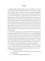 Nghiên cứu thị trường bất động sản TP.Cao Lãnh