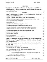 177 Kế toán tiêu thụ và xác định kết quả kinh doanh hàng hoá tại Công ty TNHH trang thiết bị bảo hộ lao động thương mại Minh Xuân