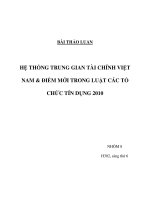 Hệ thống trung gian tài chính Việt Nam và điểm mới trong luật các tổ chức tín dụng 2010