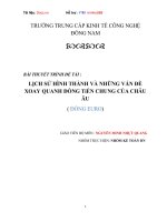 LỊCH SỬ HÌNH THÀNH VÀ NHỮNG VẤN ĐỀ XOAY QUANH ĐỒNG TiỀN CHUNG CỦA CHÂU ÂU