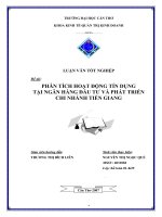 Phân tích hoạt động tín dụng tại ngân hàng đầu tư và phát triển chi nhánh Tiền Giang