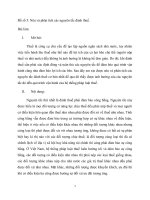 Nêu và phân tích các nguyên tắc đánh thuế