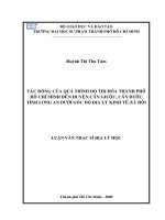 Tác động của quá trình đô thị hóa thành phố Hồ Chí Minh đến huyện Cần Giuộc, Cần Đước tỉnh Long An dưới góc độ địa lý kinh tế - xã hội