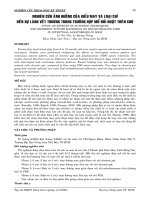 Nghiên cứu ảnh hưởng của kiểu may và loại chỉ đển sự lành vết thương trong mổ nối ruột chó