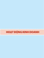 hoạt động kinh doanh của MHB