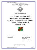 Phân tích rủi ro và biện pháp phòng ngừa trong hoạt động tín dụng tại ngân hàng nông nghiệp và phát triển nông thôn quận Cái Răng