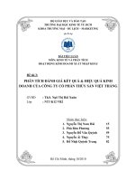 Phân tích đánh giá kết quả & hiệu quả kinh doanh của công ty cổ phần thủy sản Việt Thắng