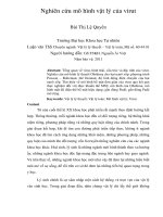 Nghiên cứu mô hình vật lý của vi rút