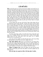 Một số giải pháp nhằm nâng cao khả năng cạnh tranh của các doanh nghiệp nói chung và của xí nghiệp TOCAN nói riêng