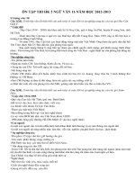 ÔN TẬP THI HK2 11 2012-2013