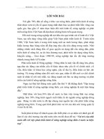 Vai trò của nhà nước đối với việc phát triển kinh tế nông nghiệp nông thôn ở nước ta hiện nay