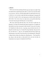 Mở đầu khảo sát thành phần hóa học cao eter dầu hỏa của vỏ cây còng mù-u