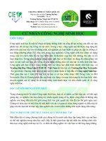 Chương trình cử nhân quốc tế Cử nhân công nghệ sinh học