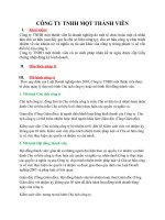 CÔNG TY TNHH 1 TV_bài tông hợp