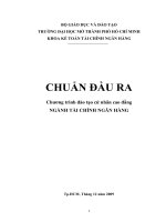Chuẩn đầu ra chương trình đào tạo cư nhân cao đẳng ngành tài chính ngân hàng