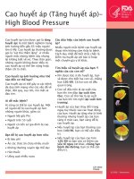 Cao huyết áp - High Blood Pressure