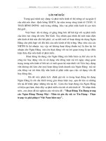 Hoạt động tín dụng trong các ngân hàng thương mại- nhìn từ góc độ rủi ro tín dụng- Thực trạng và giải pháp ở Việt nam