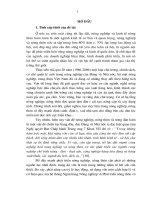319 Huy động, cho vay vốn của Ngân hàng Nông nghiệp và Phát triển nông thôn để phát triển nông nghiệp tại huyện Phước Sơn, tỉnh Quảng Nam