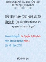 TIỂU LUẬN: “Quy trình sản xuất bia với 30% nguyên liệu thay thế là gạo”.