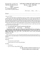 Đề cương thực tập nghề nghiệp